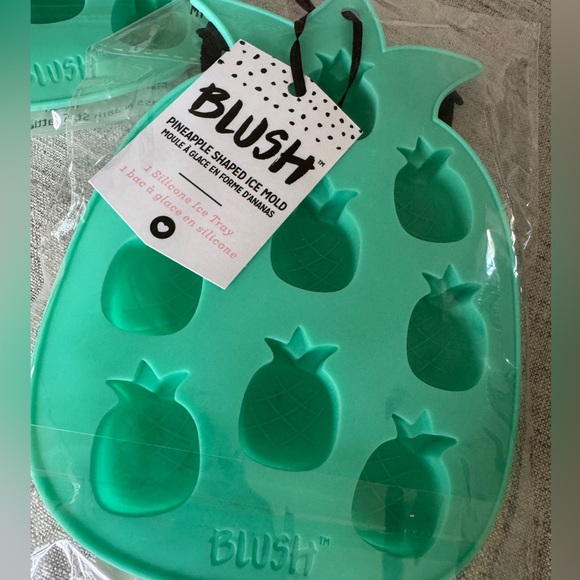 Aqua green blue BLUSH Pineapple Shaped Ice Mold - Kitchen Tools ICE CUBE TRAY - Picture 1 of 2